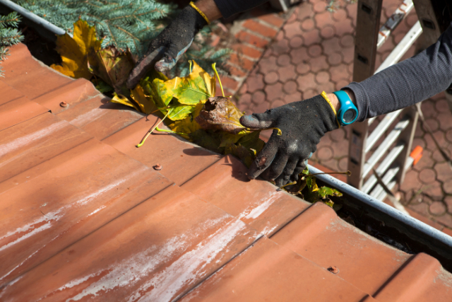 Bend Gutter worker cleaning the leaves out of the system